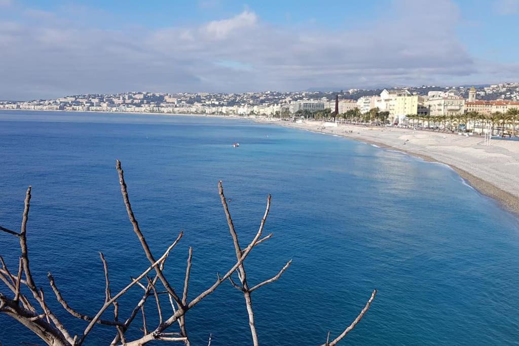 Studette En Plein Coeur Du Vieux Nice Dış mekan fotoğraf